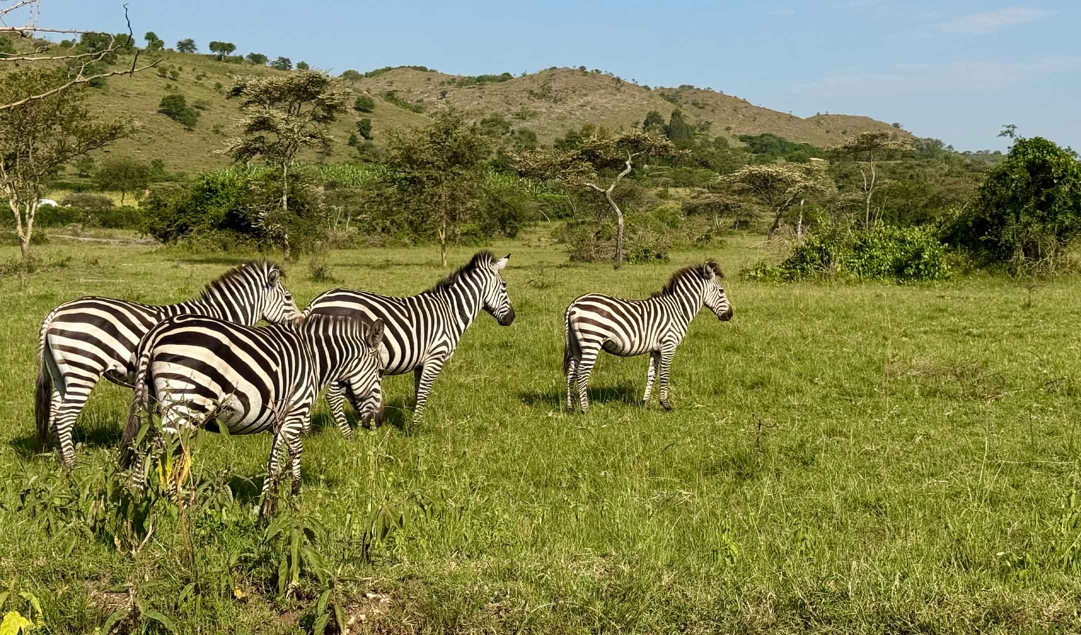 Tanzania Family Safari