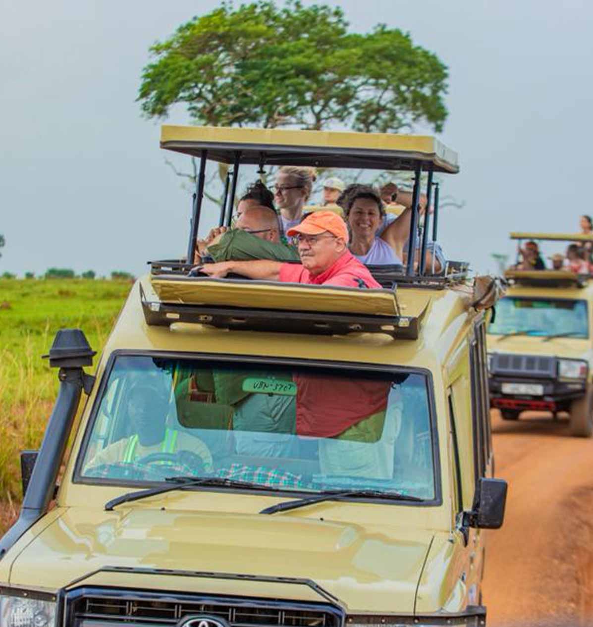Dawn game drive and departure