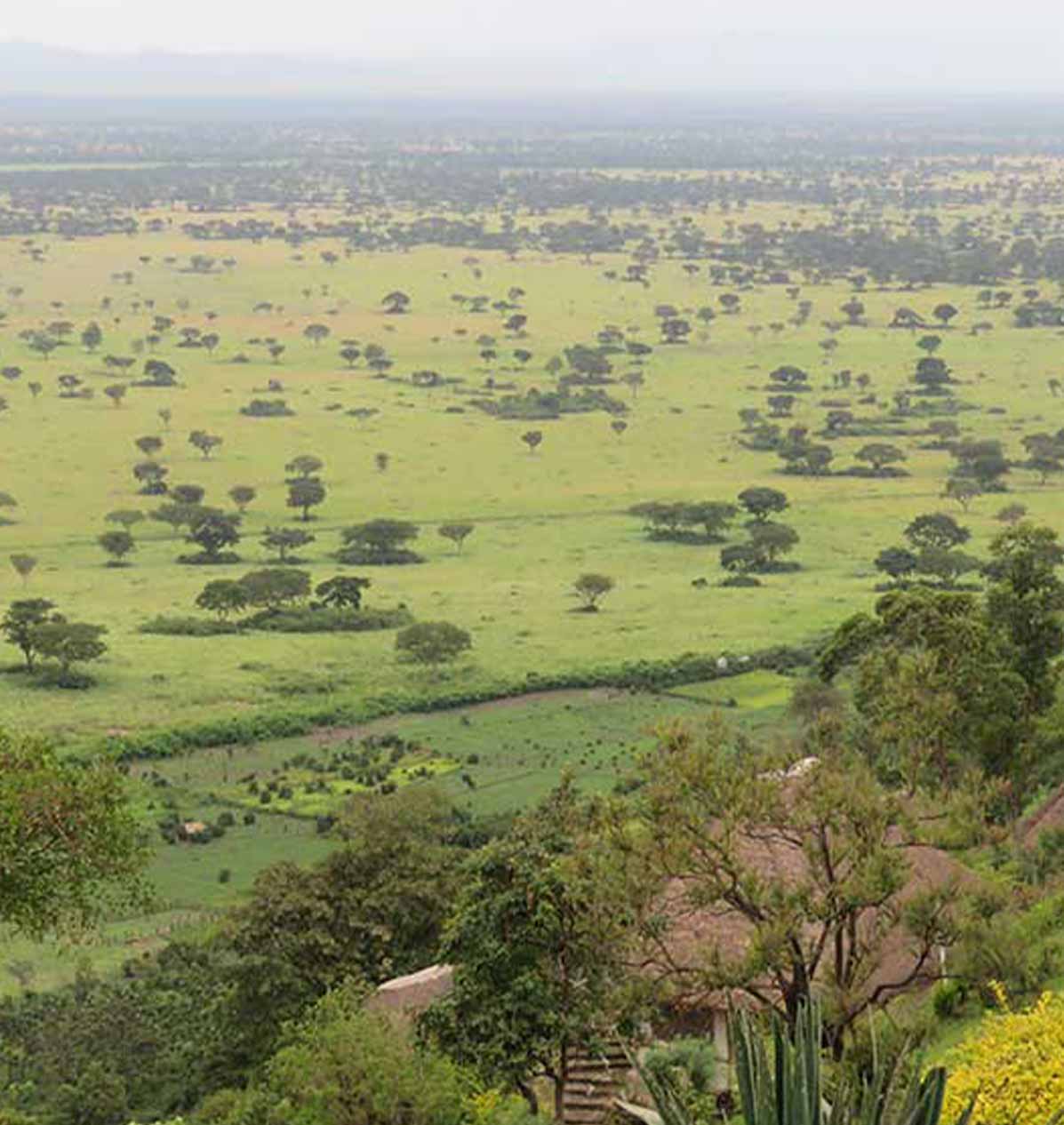 Day 5 &mdash; Dawn Game Drive & Return to Entebbe