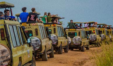 Uganda Luxury Safari